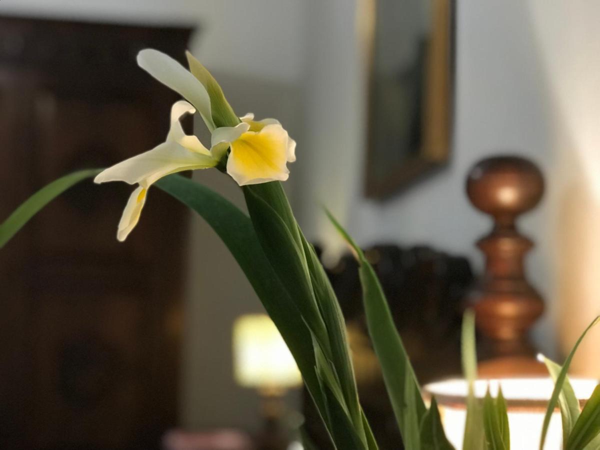 Appartamento Stibbert Florens Exteriör bild
